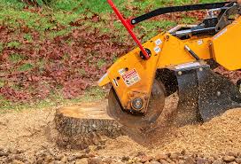  La Honda, CA Tree Services Pros